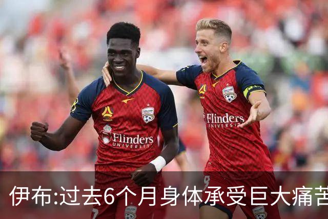 伊布:过去6个月身体承受巨大痛苦 只为帮球队夺冠